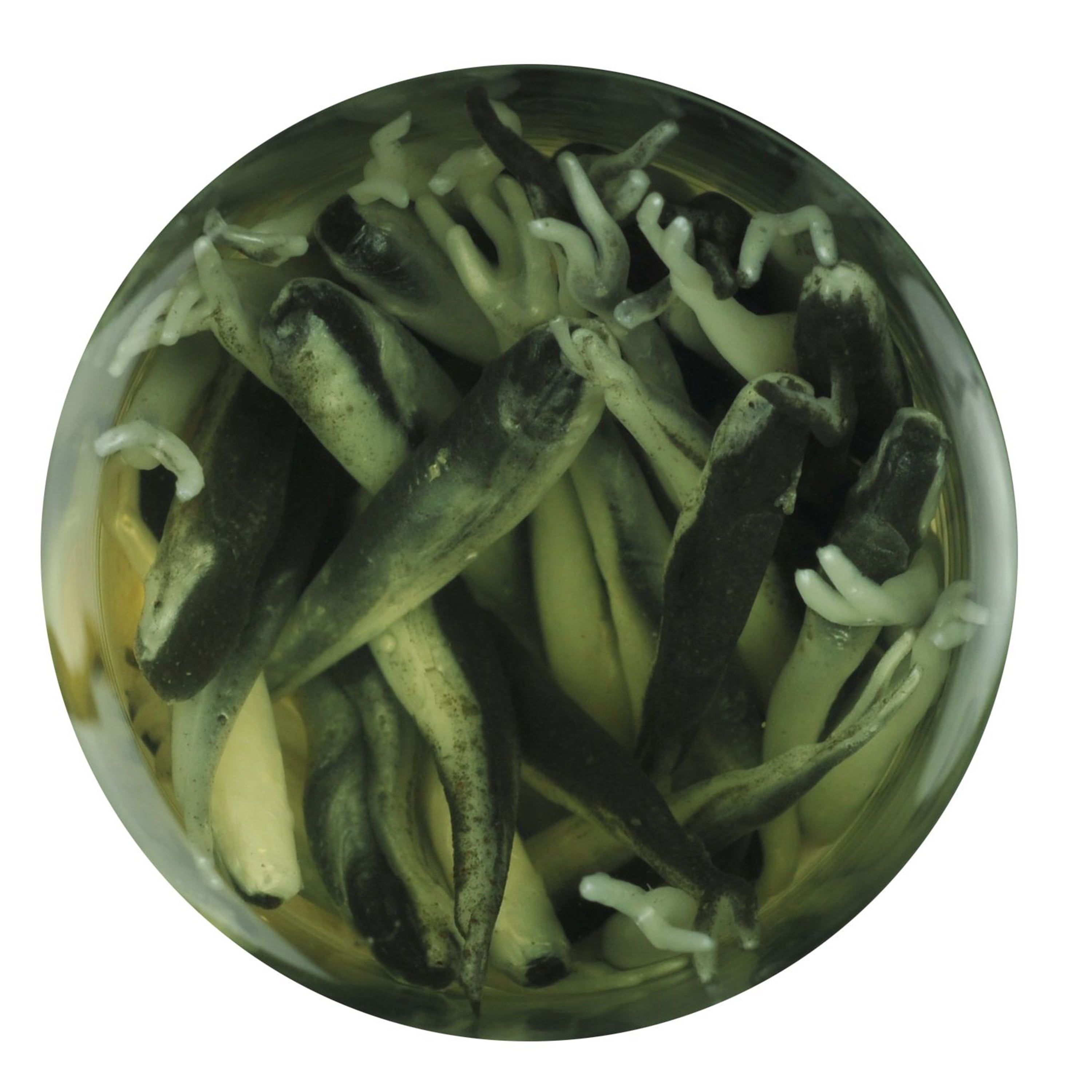 Berkley Gulp! Alive! Minnow Soft Bait Lifelike and Ghana Ubuy