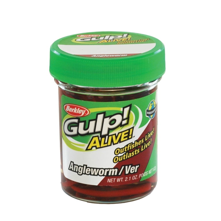 Berkley Gulp! Alive! Angle Worm, 1in, Red Wiggler - Walmart.com