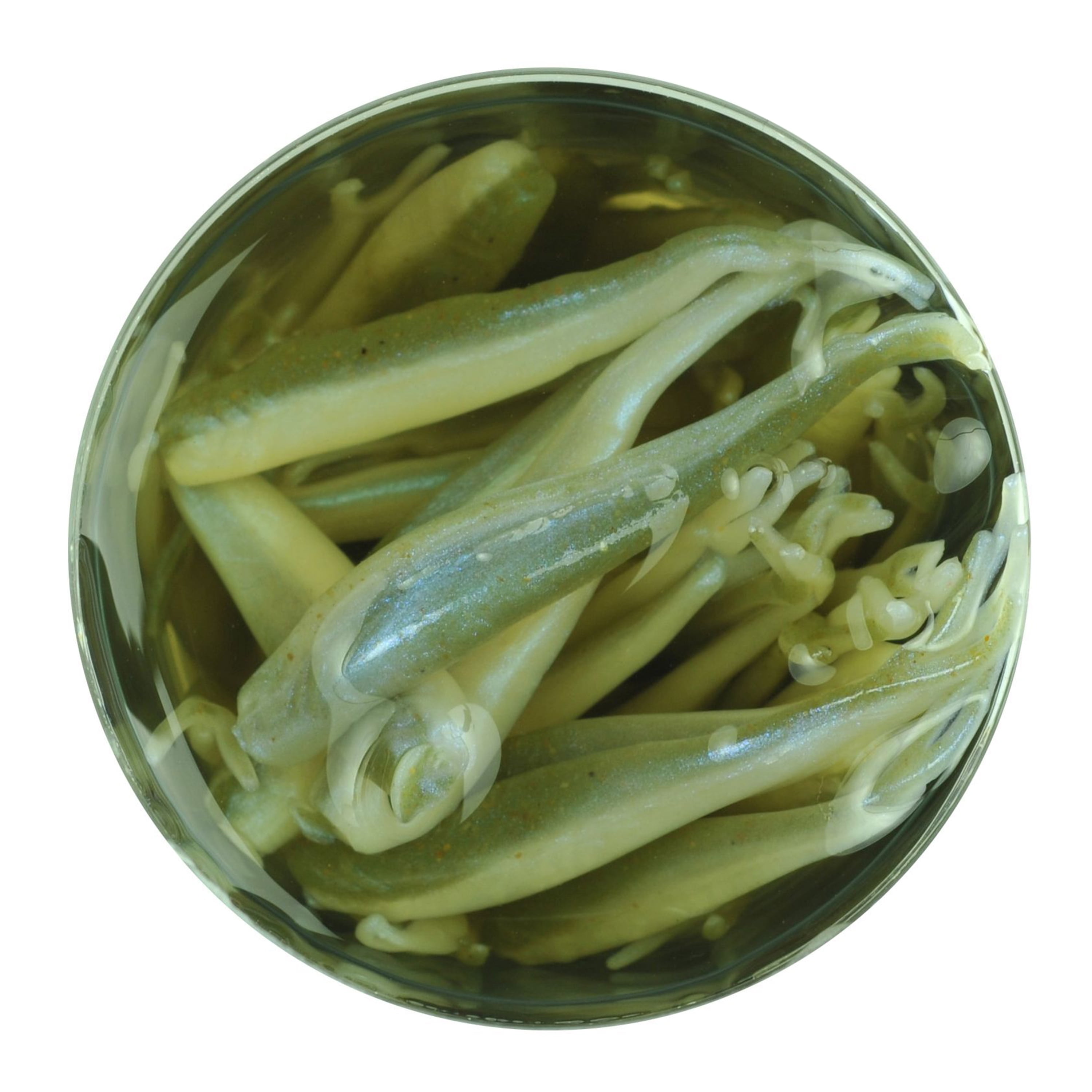 Berkley Gulp! Alive! Minnow Soft Bait 1" Length, Watermelon Pearl