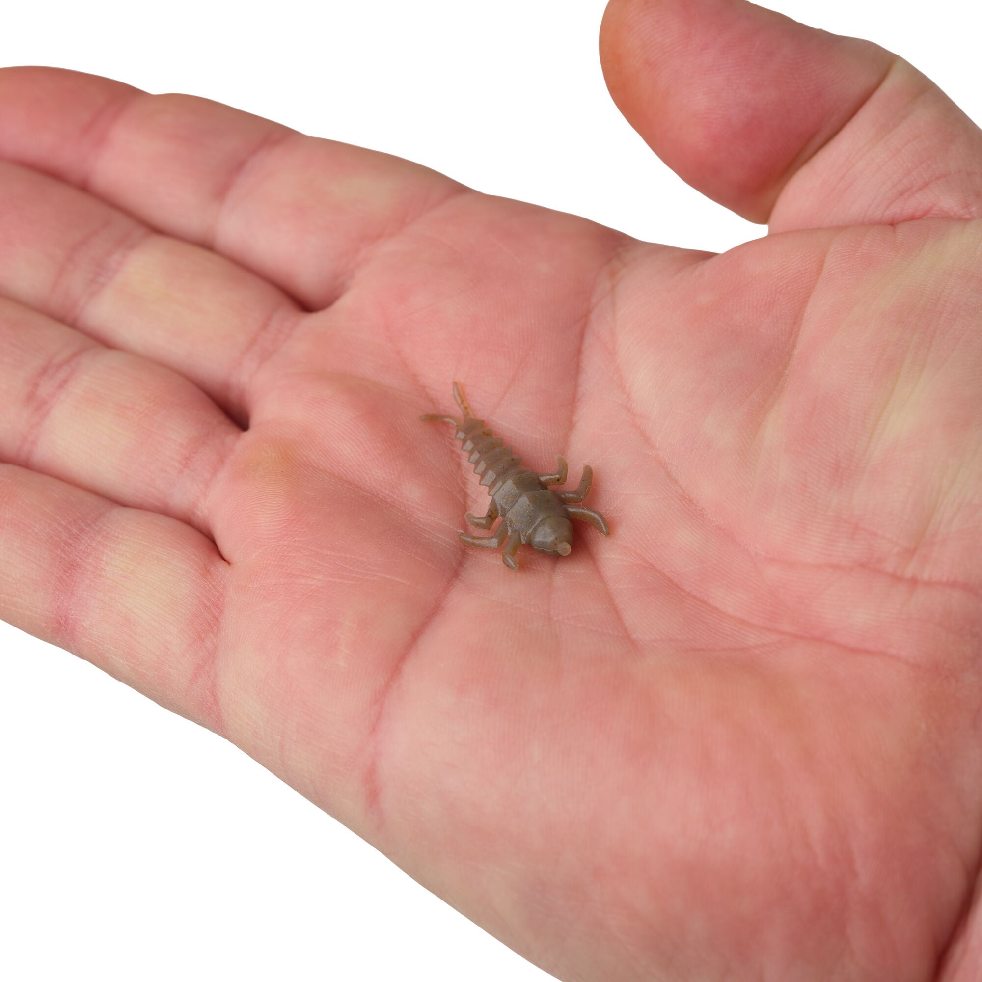 Berkley Gulp! Alive!® Stonefly, 1.25 in, Creatures, Smog (1 Count)