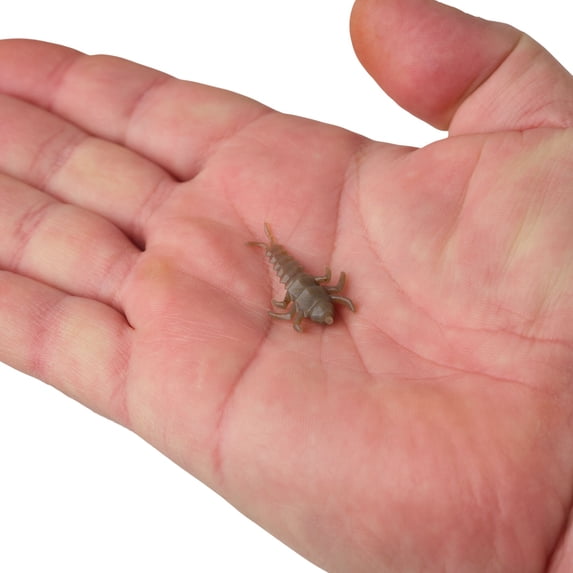 Berkley Gulp! Alive!® Stonefly, 1.25 in, Creatures, Smog (1 Count)