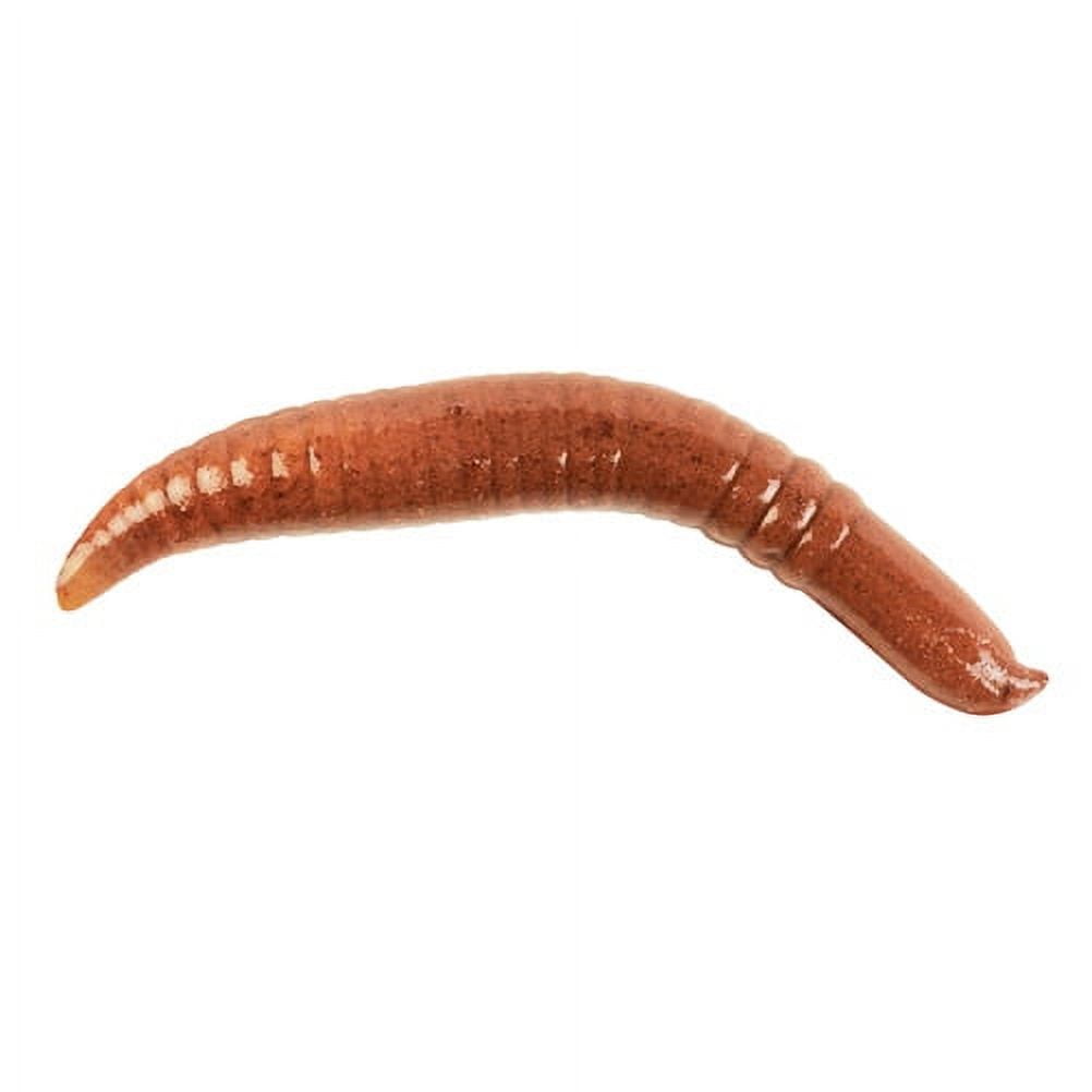 Berkley Gulp! Pinched Crawler, 2", Nightcrawler, 6 Pack