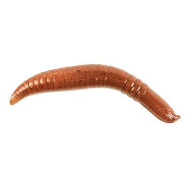 Berkley Gulp! Pinched Crawler, 2", Nightcrawler, 6 Pack