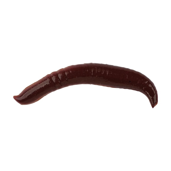 Berkley Gulp!® Pinched Crawler, 2 in, Nightcrawler