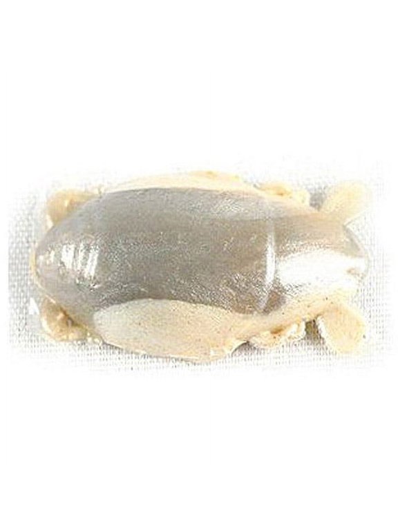 Berkley Gulp! Saltwater Sand Crab Flea Soft Bait