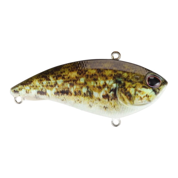 Berkley Jack, 7, 3/4 oz, HD Goby