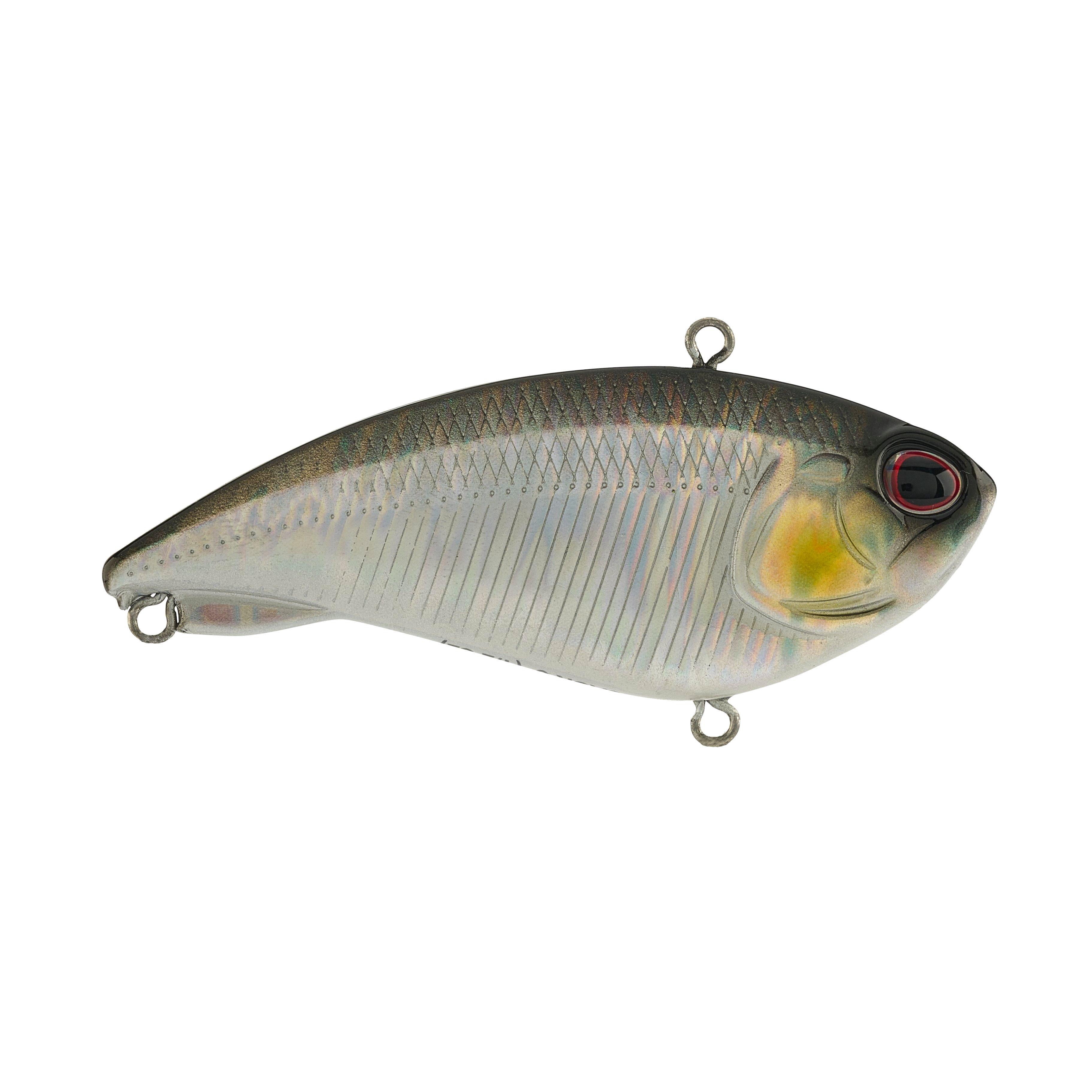 Berkley Jack, 6, 1/2 oz, Black Silver