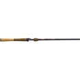 Berkley Lightning Casting Rod - Walmart.com