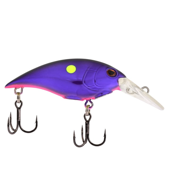 Berkley Money Badger, 4, Korey's Candy