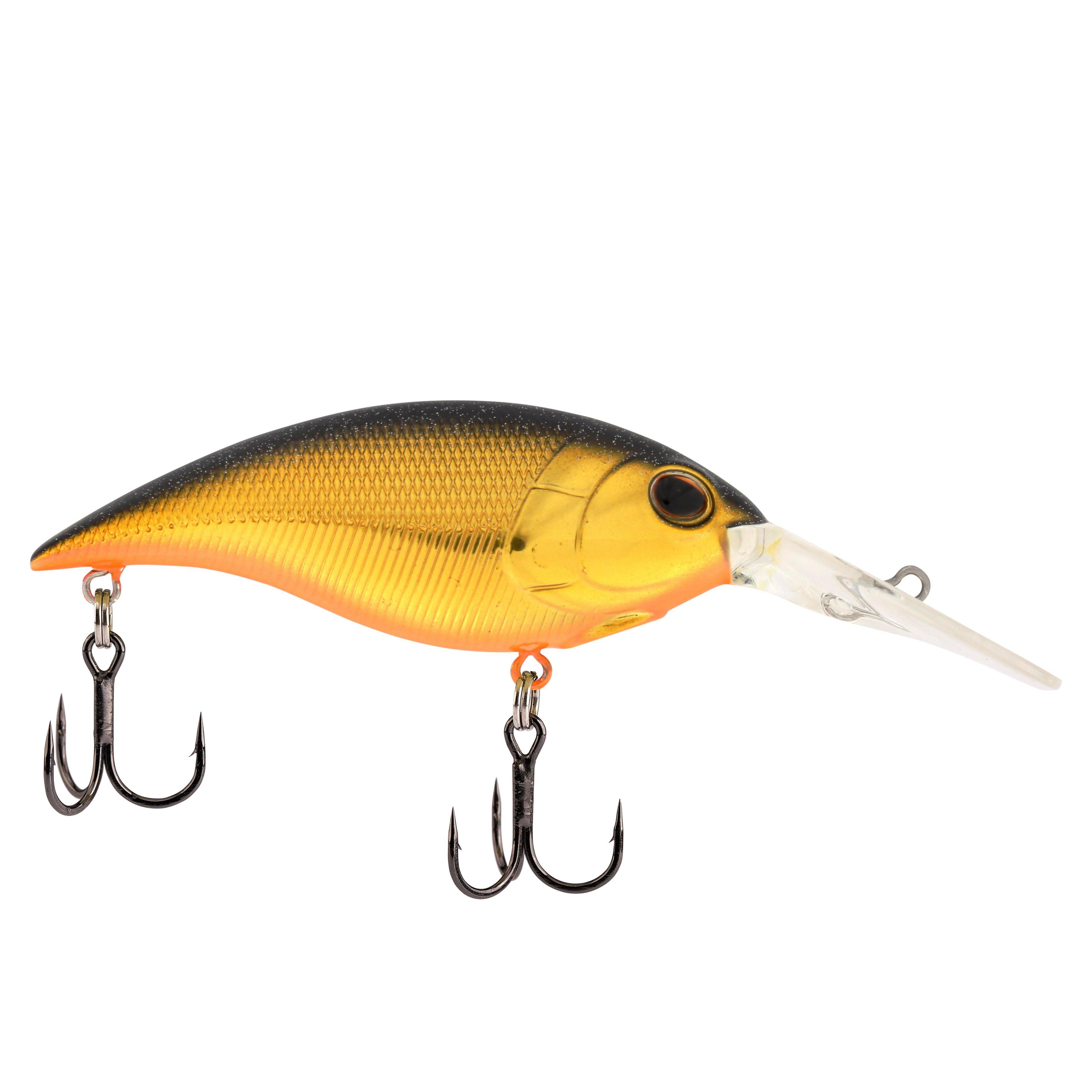 berkley fishing cast for cash 2021 Fusion Spincast Combo Featuring an upgraded circuit Berkley Shallow Money Badger Fishing