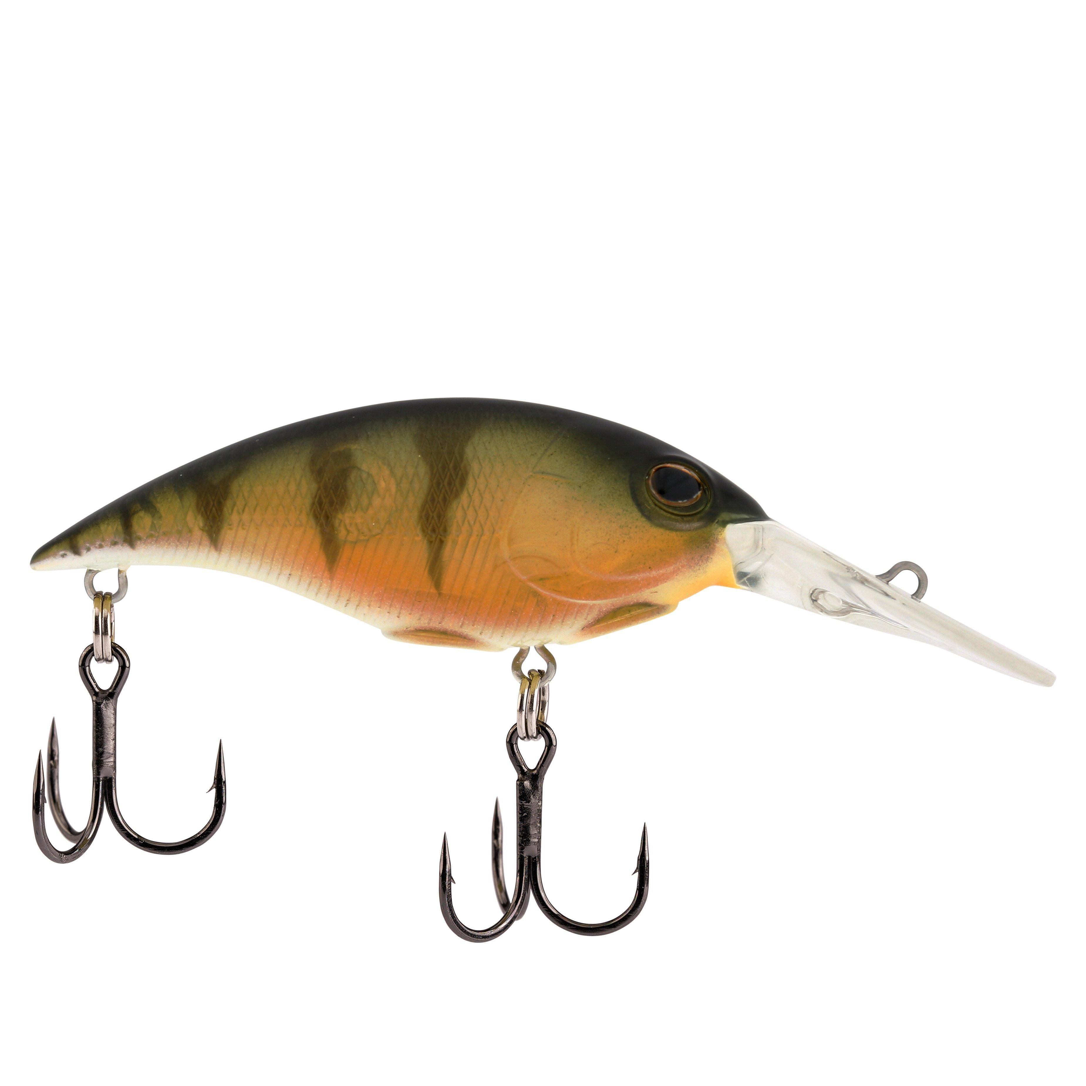Berkley Money Badger, 5, Perch