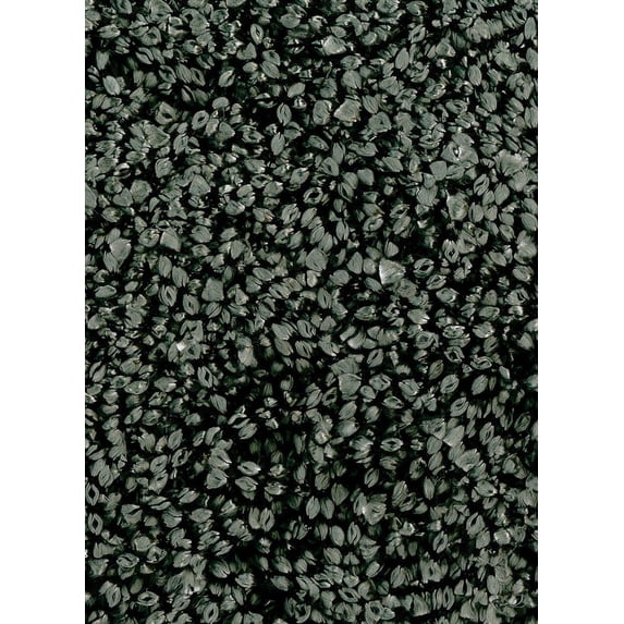 Berkley Moving Shag Area Rug BZ100 Grey Solid Shag 5' x 8' Rectangle