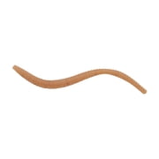 Berkley PowerBait® Power® Floating Trout Worm, 3 in, Natural