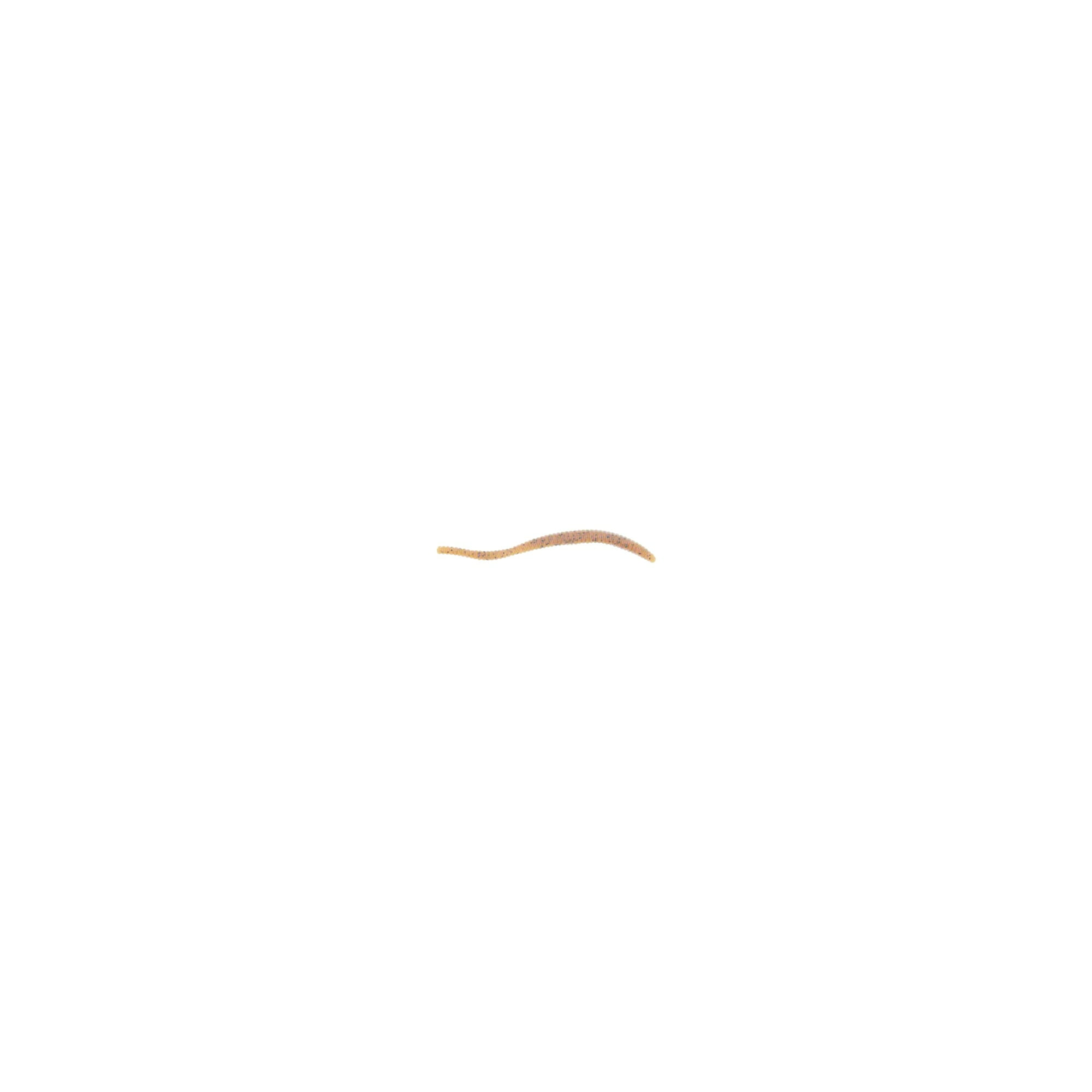 Berkley PowerBait Power Floating Trout Worm Fishing Bait, Pumpkinseed, 3in | 8cm