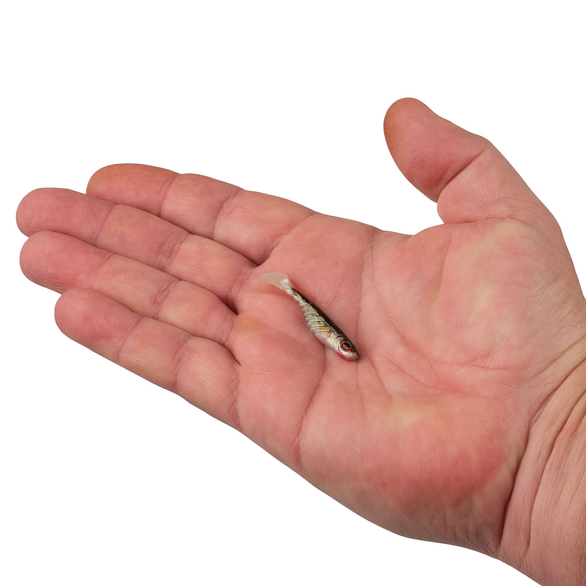 Berkley PowerBait® Ripple Shad, 2 in, Swimbaits, HD Red Belly Goby (8 Count)