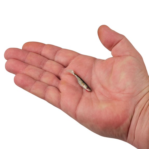 Berkley PowerBait® Ripple Shad, 2 in, Swimbaits, HD Red Belly Goby (8 Count)