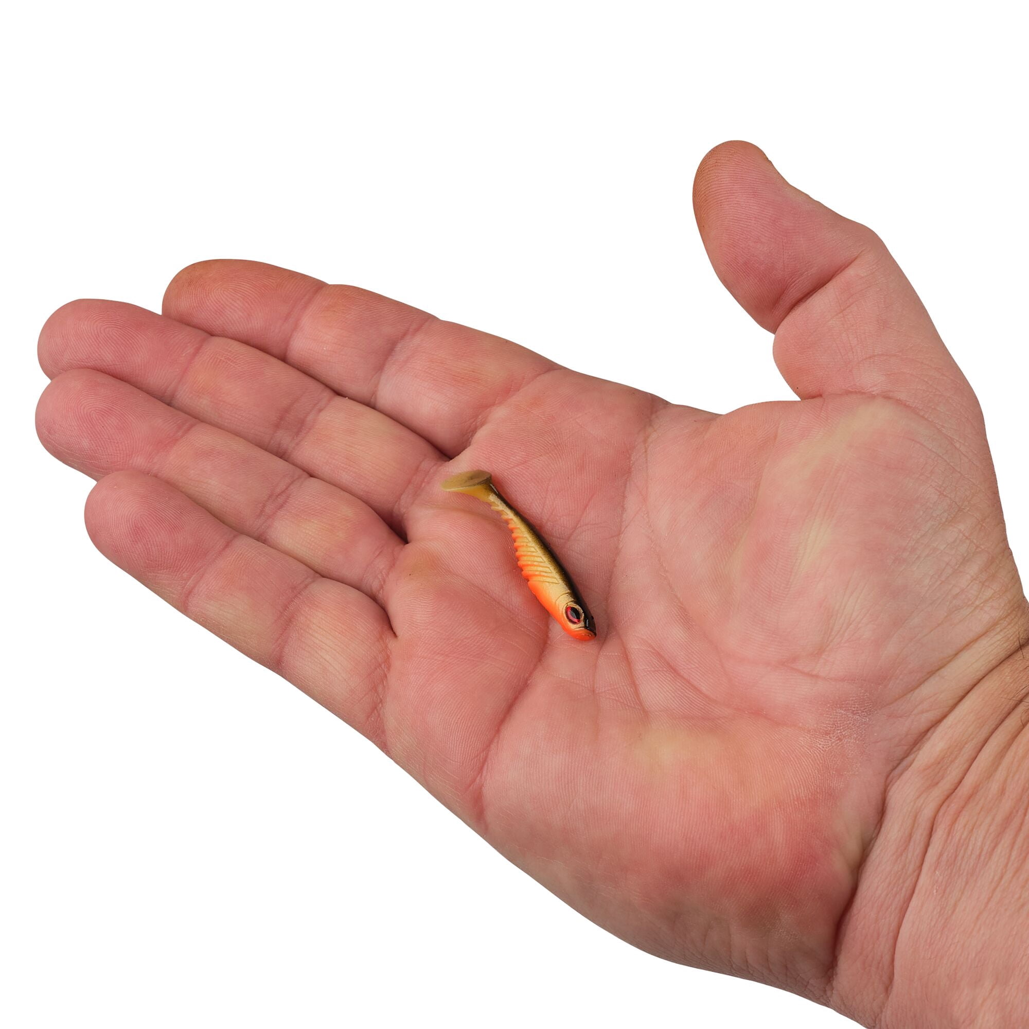 Berkley PowerBait® Ripple Shad, 2 in, Swimbaits, Fool's Gold (8 Count)
