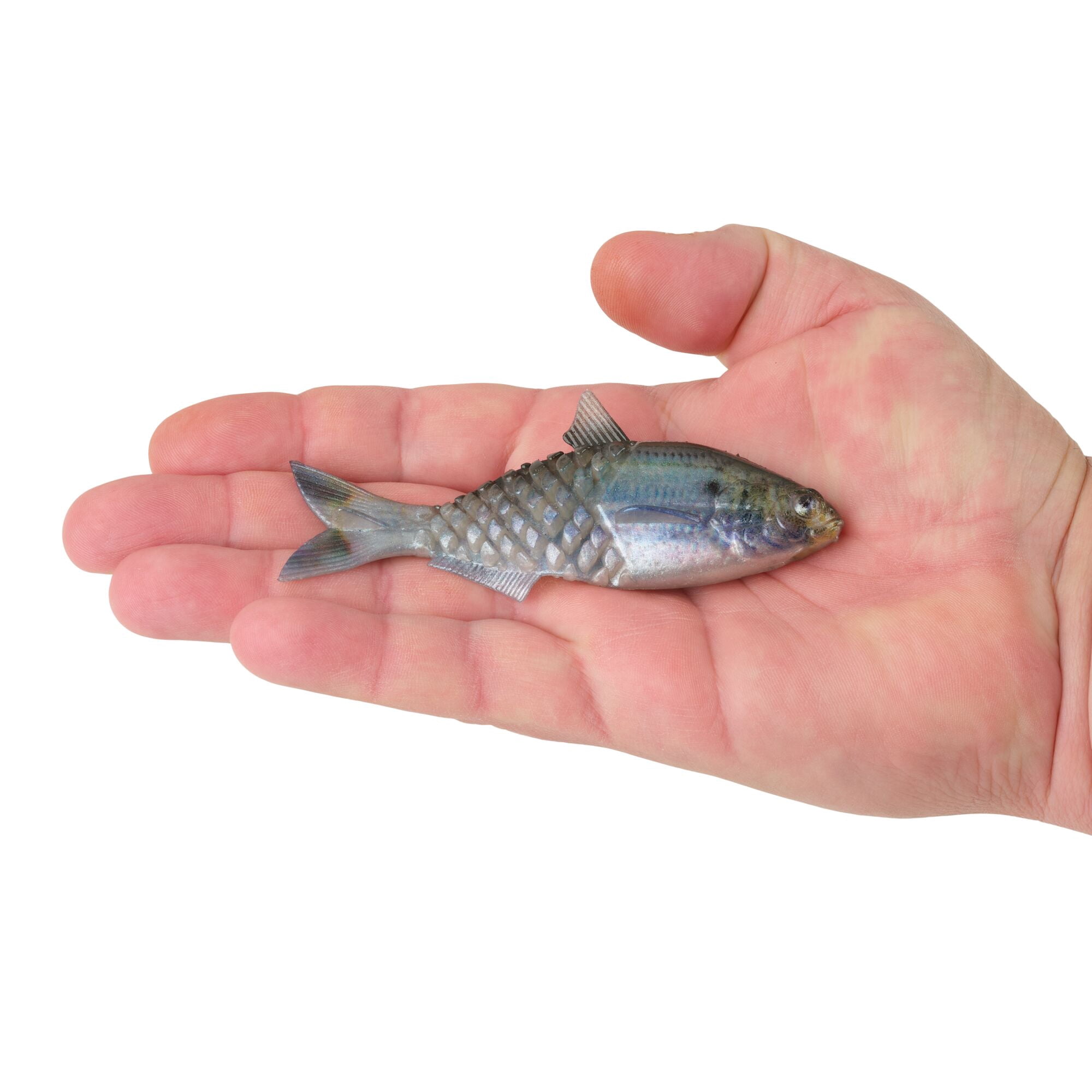 Berkley PowerBait® Saltwater Gillydine, 4.5 in, Swimbaits, HD Scaled Sardine (3-count)
