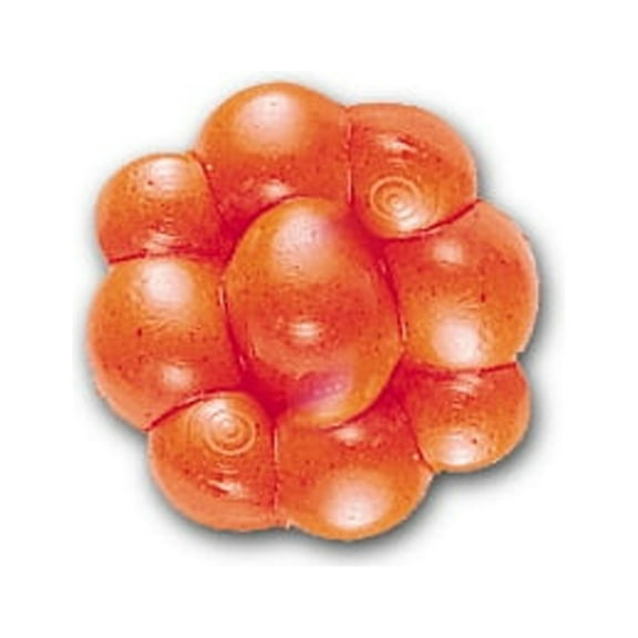 Berkley PowerBait Trout/Steelhead Egg Clusters Fishing Bait, Fluorescent Orange