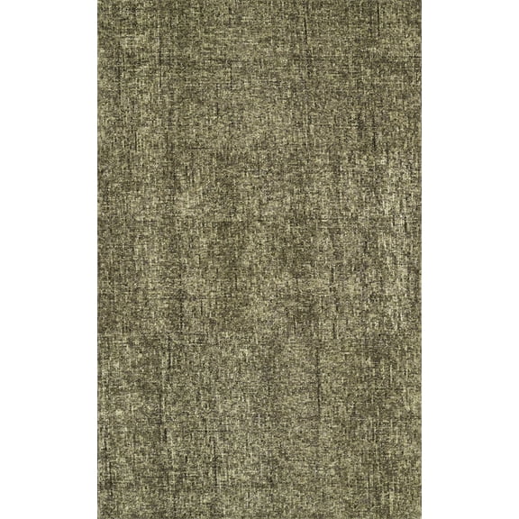 Berkley Reflections Area Rug CS5 Cs5 Basil Basil Mottled Single-Color 2' 3" x 7' 6" Rectangle