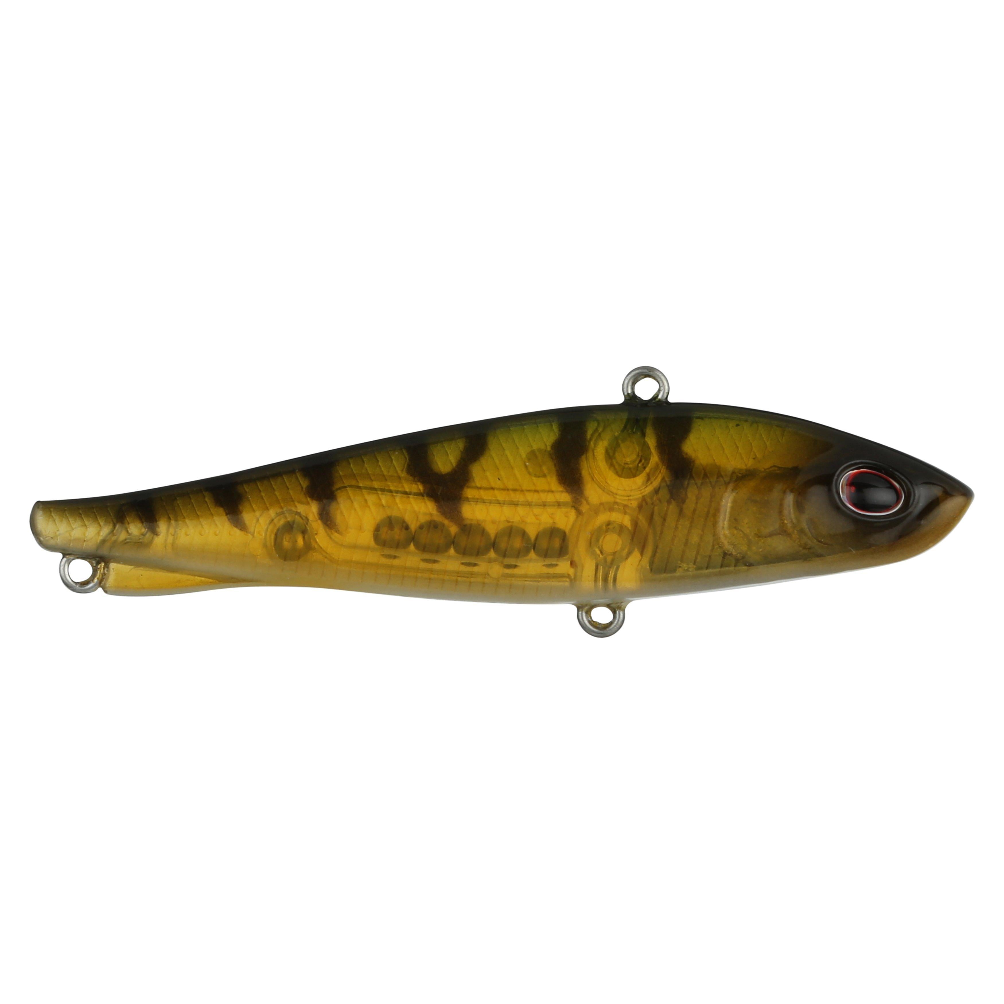 Berkley Ripfish, 7, Perch