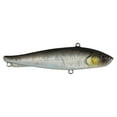 thumbnail image 1 of Berkley Ripfish, 9, Black Silver, 1 of 5