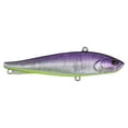 thumbnail image 1 of Berkley Ripfish, 9, Purple Slime, 1 of 5