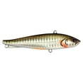 thumbnail image 1 of Berkley Ripfish, 9, Dark Shiner, 1 of 5