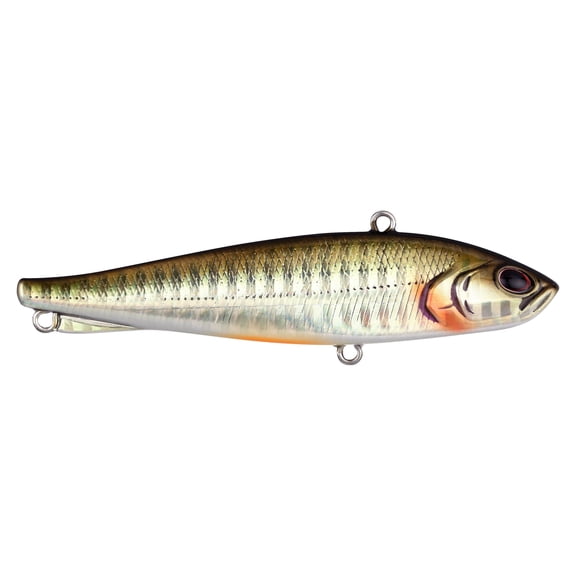 Berkley Ripfish, 9, Dark Shiner