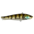 thumbnail image 1 of Berkley Ripfish, 9, Ghost Chrome Gill, 1 of 5
