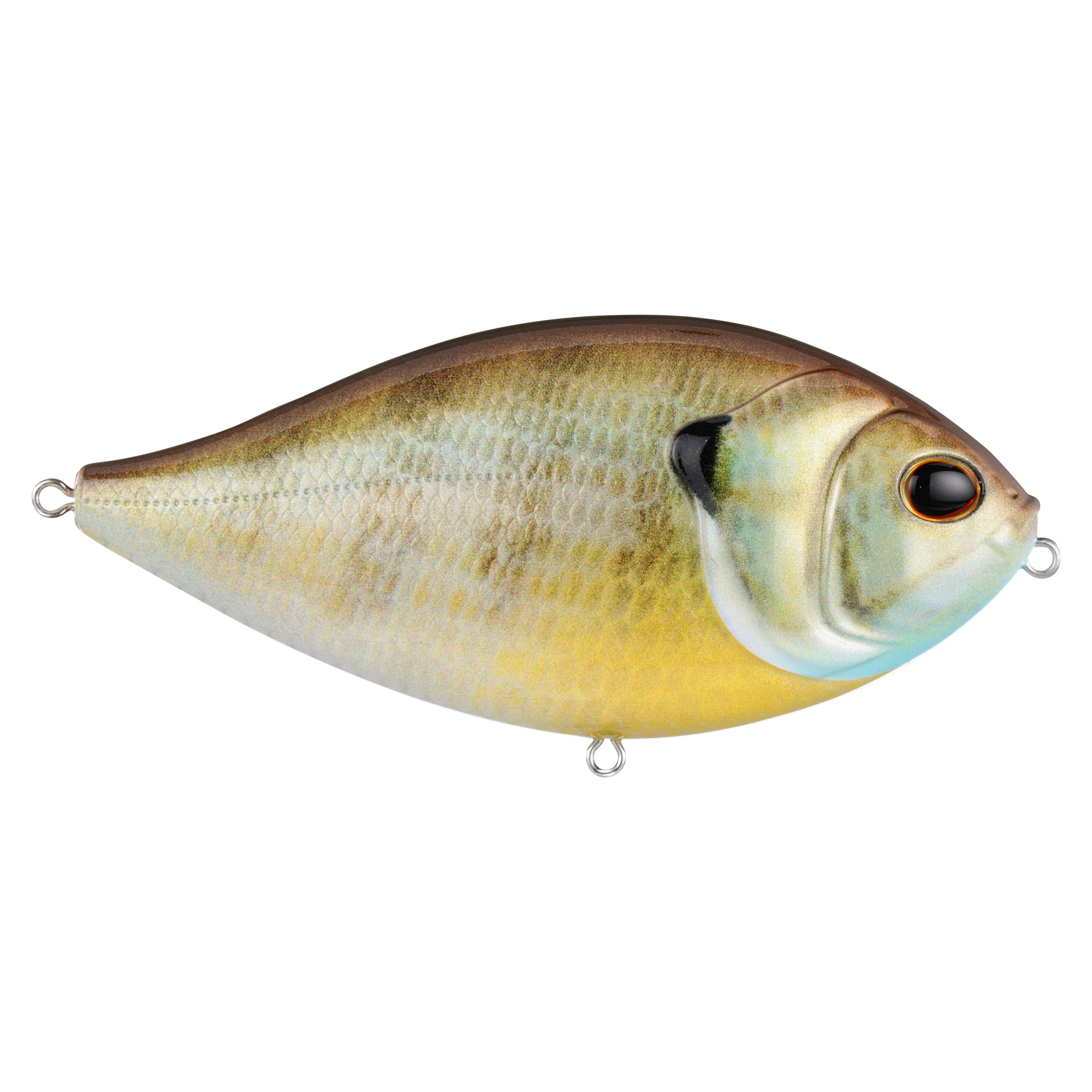 Berkley SlapGill, Female Gill, 3.8 in (1-Count)