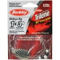 thumbnail image 1 of Berkley Walleye Mono Rig, Hammered Silver Indiana Blade, 4, 1 of 6