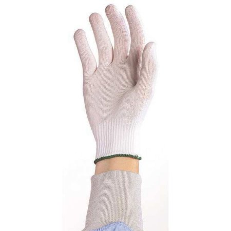 Berkshire Cleanroom Gloves,Nylon,Size L,PK200 BGL7.200LB