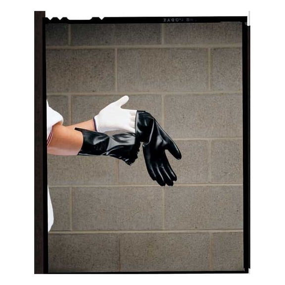 Glove Liners, Polyester, 8-3/4" Length, Light, White, Size Men's L ,10 PK BGL2.20L