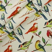 Berkshire Home 100% Polyester 54 Indoor/Outdoor Blue Bird Fiesta Fabric, by the Yard