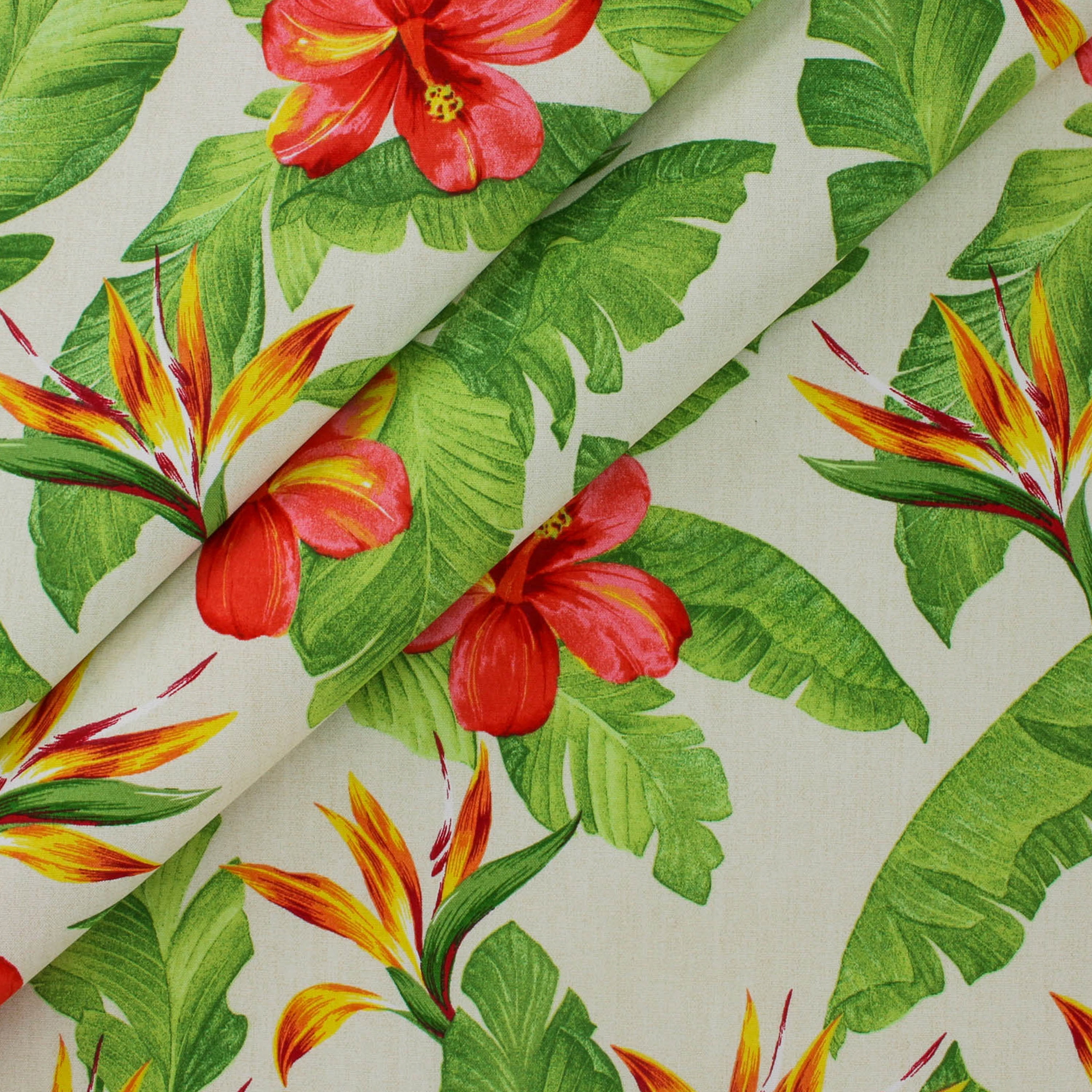 Berkshire Home 100% Polyester 54" Indoor/Outdoor Monsoon Ivory Fabric, by the Yard