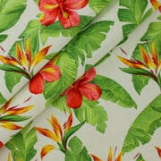 Berkshire Home 100% Polyester 54" Indoor/Outdoor Monsoon Ivory Fabric, by the Yard