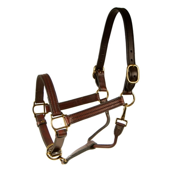 Berlin 1" Track Leather Halter - Oversize