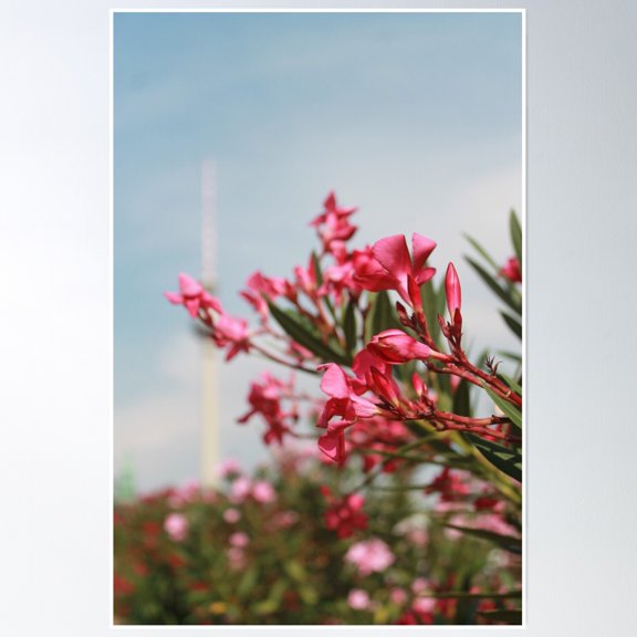 Berlin Poster Wall Art, Modern Wall Decor, 12x18 UNFRAMED