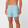 thumbnail image 1 of Bermies SAILAWAY-M Sail Away Mens Swim Trunks - Medium, 1 of 1