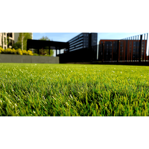 Nature's Seed Bermuda Grass Seed Mix for Lawns - 5 Lb