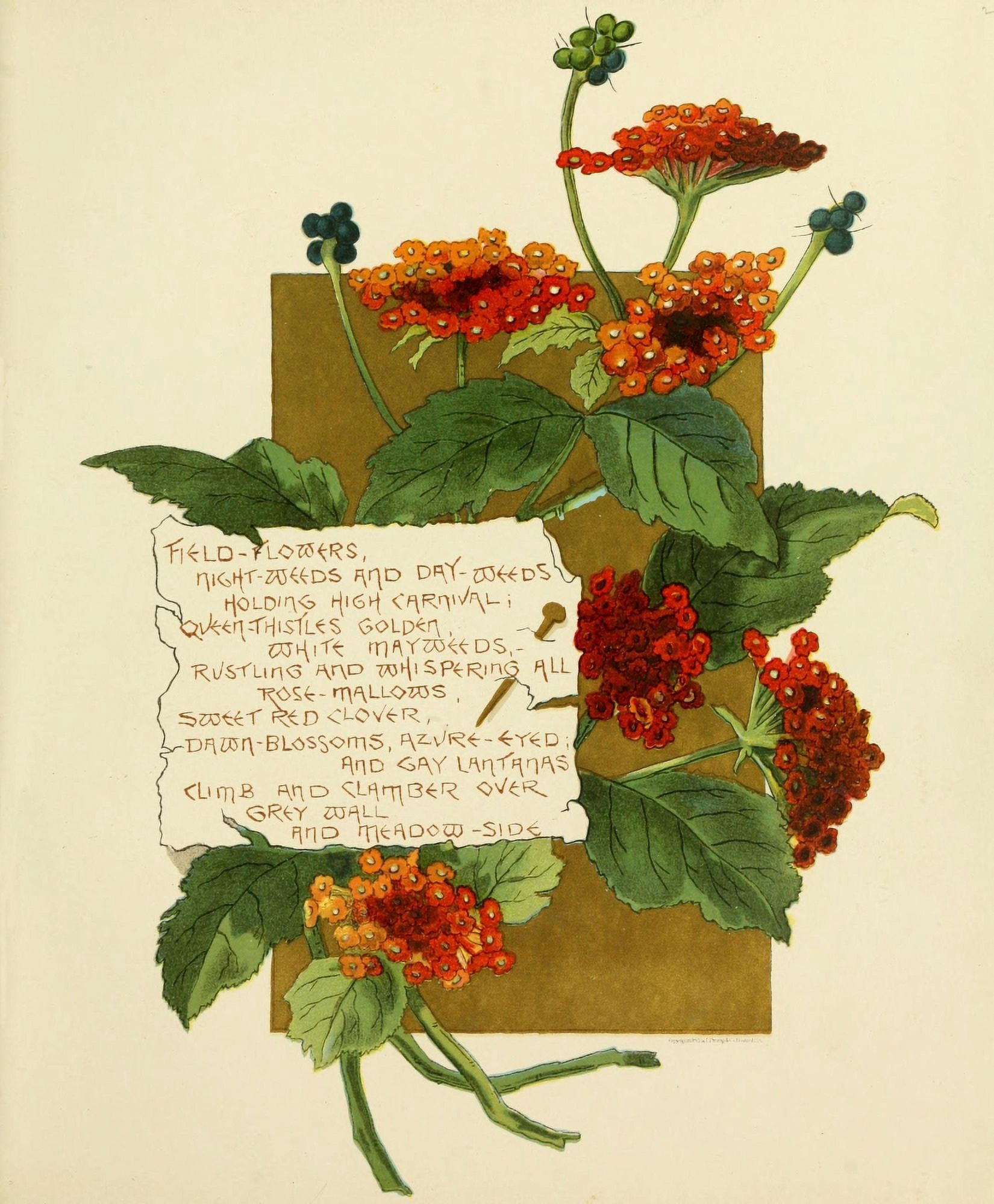 Bermuda in June 1893 Field flowers Canvas Art - Bessie Gray (24 x 36)