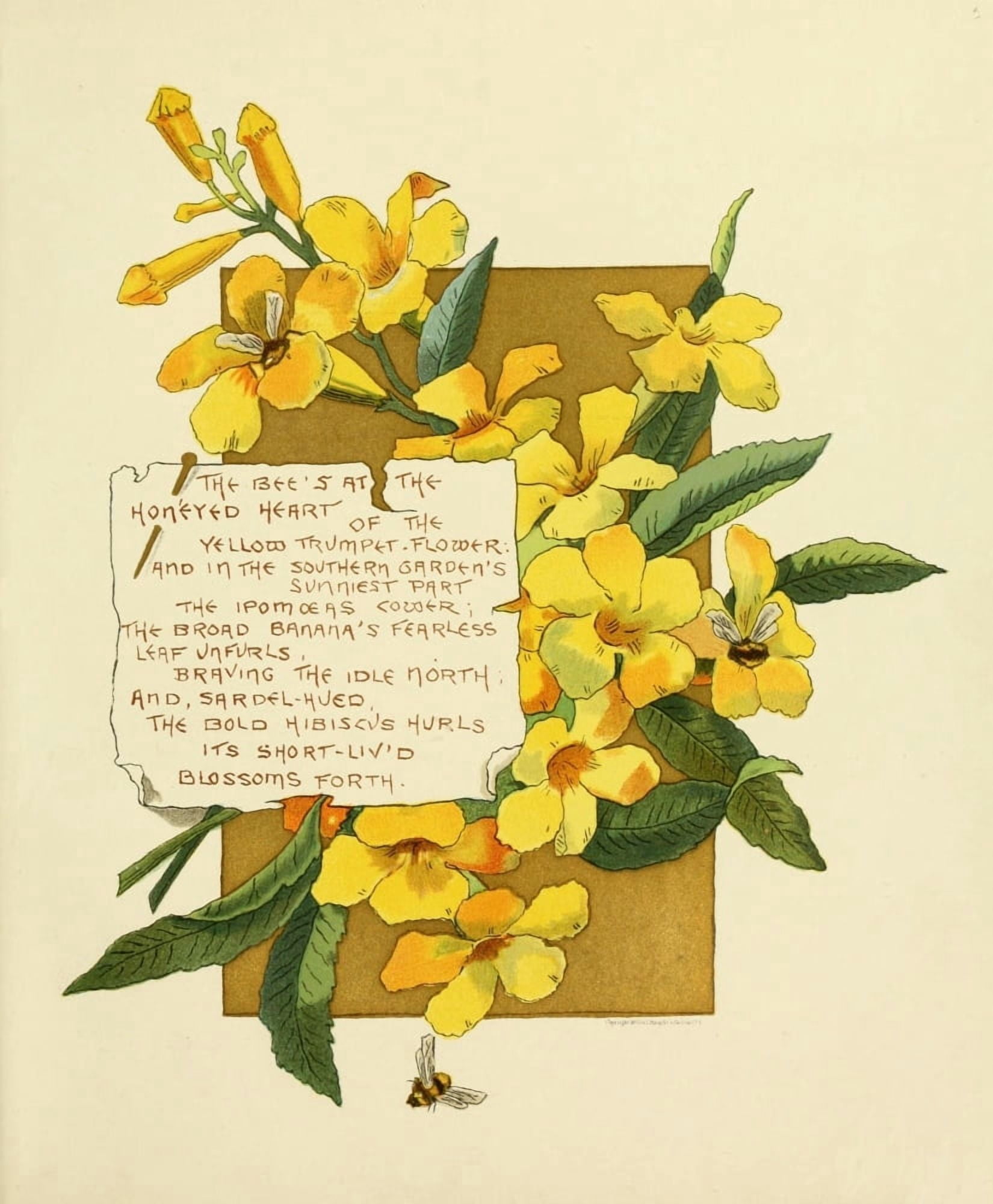 Bermuda in June 1893 The bees at the Canvas Art - Bessie Gray (18 x 24)