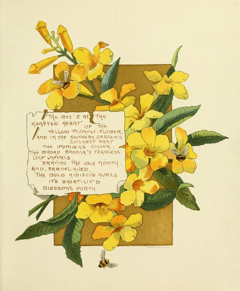 Bermuda in June 1893 The bees at the Canvas Art - Bessie Gray (24 x 36)