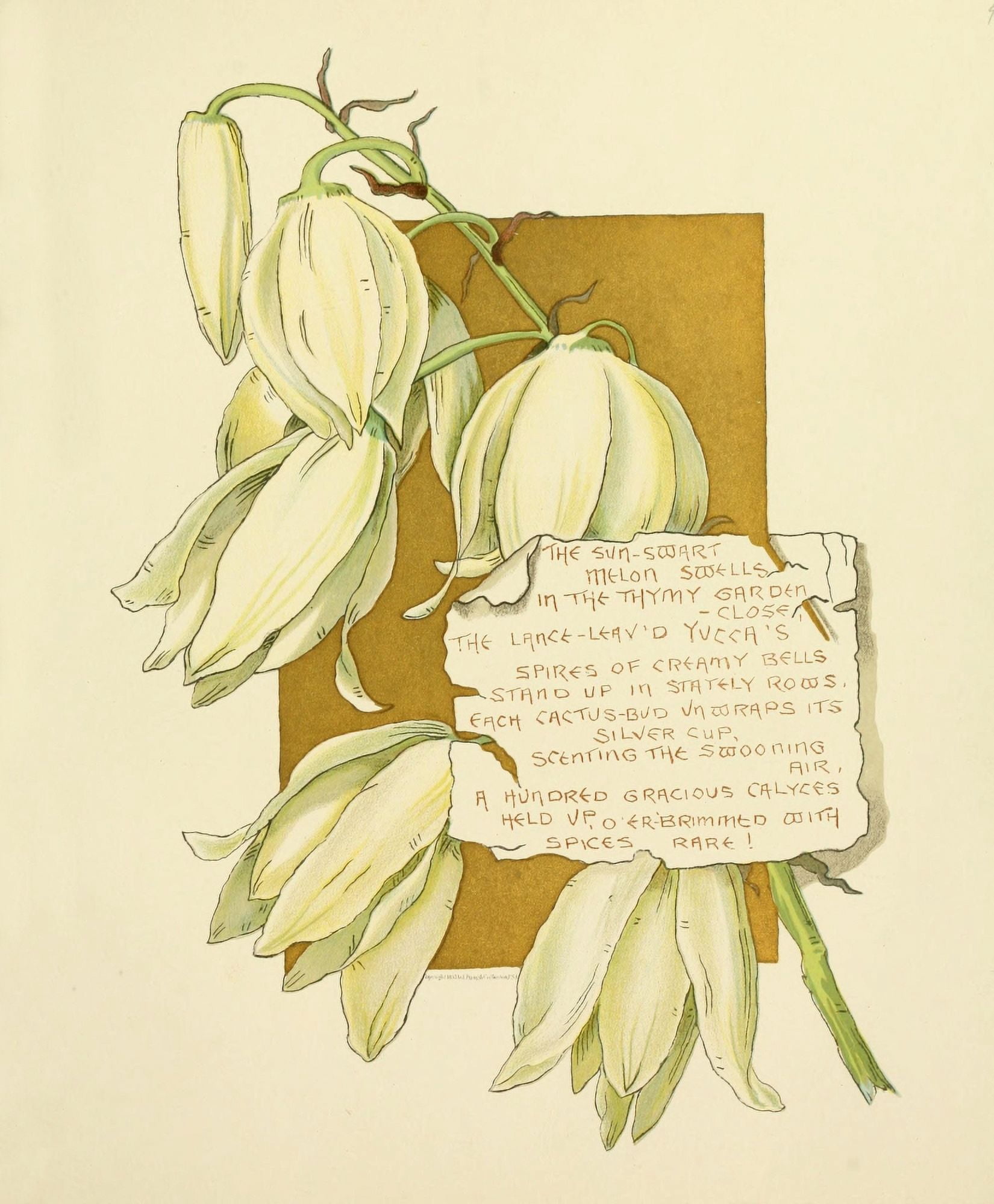 Bermuda in June 1893 The sun-swart Canvas Art - Bessie Gray (18 x 24)