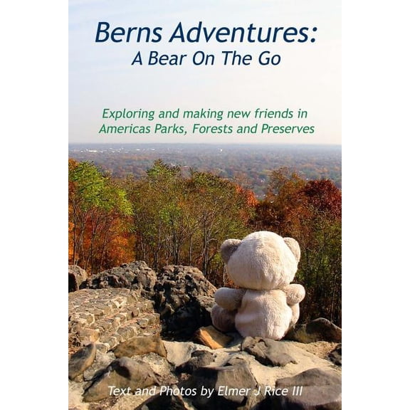 Bern's Adventures: A Bear on the Go, (Paperback)