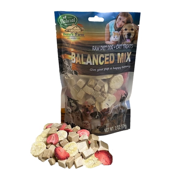Bern's Farm Freeze-Dried Duck, Strawberry & Banana Dog & Cat Treats, Nutrient-Dense Raw Pet Snack, 2 oz