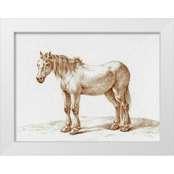 Bernard, Jean 24x19 White Modern Wood Framed Museum Art Print Titled - Standing Horse I