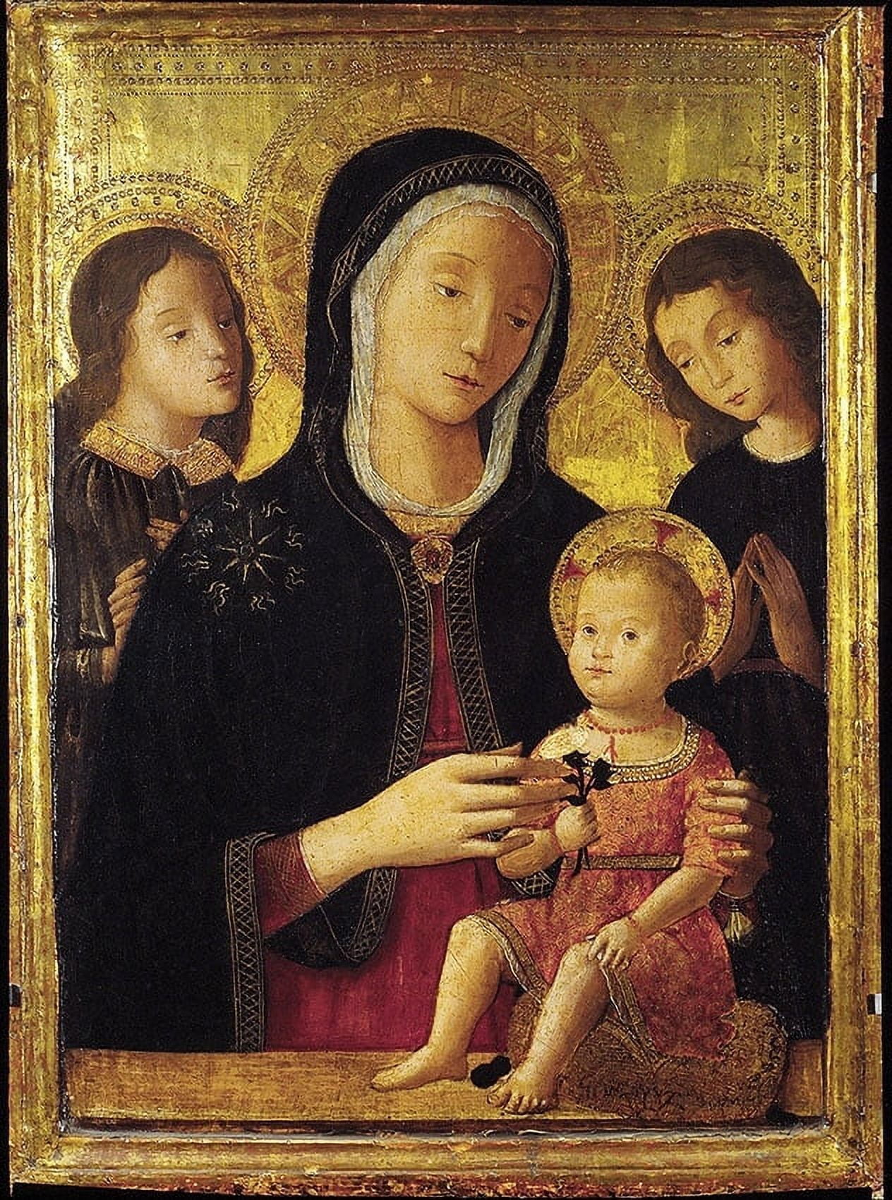 Bernardino Fungai (1460-1516) Italian School Canvas Art - (24 x 36)