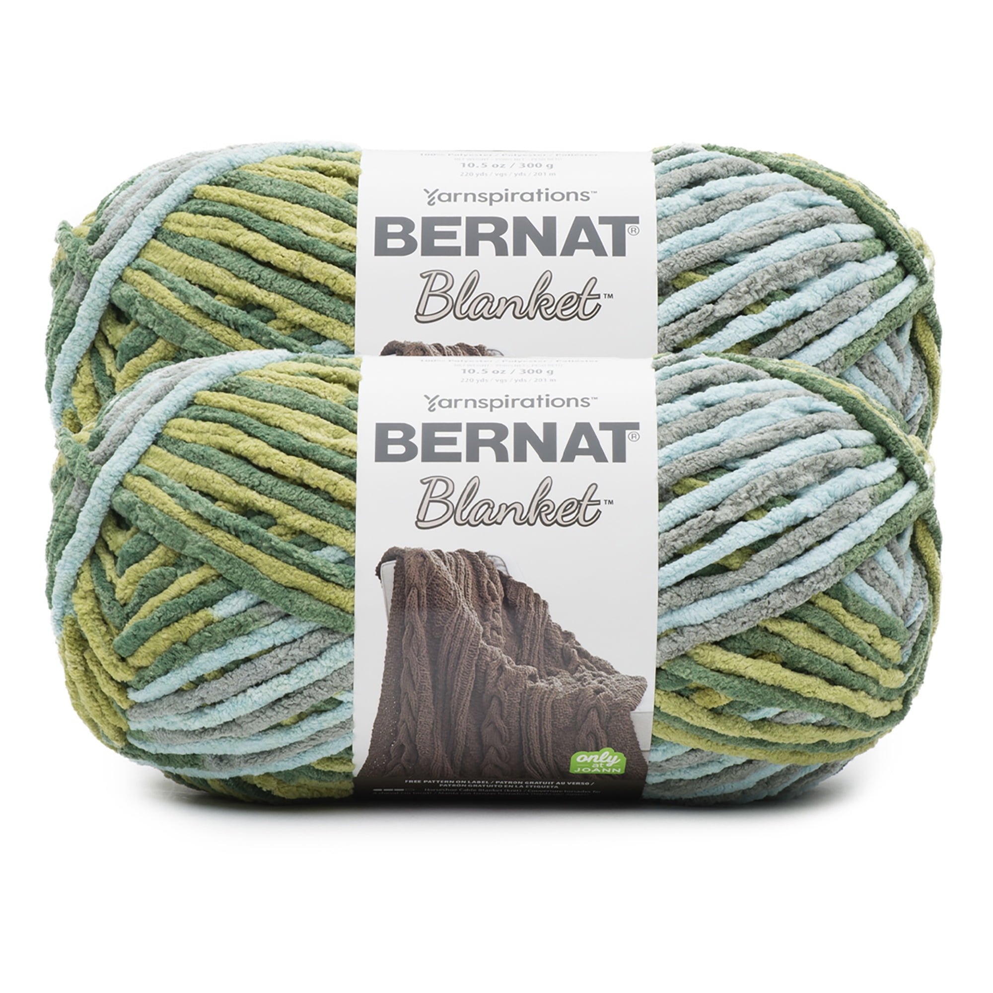 Bernat® Blanket™ #6 Super Bulky Polyester Yarn, Forest Sage 10.5oz/300g 220 Yards (2Pk)